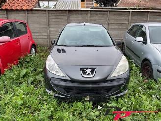 Peugeot 206 206+ (2L/M), Hatchback, 2009 / 2013 1.1 XR,XS picture 2