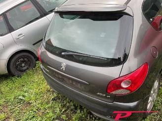 Peugeot 206 206+ (2L/M), Hatchback, 2009 / 2013 1.1 XR,XS picture 6