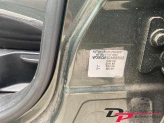 Peugeot 207 207/207+ (WA/WC/WM), Hatchback, 2006 / 2015 1.4 16V VTi picture 18