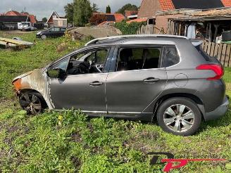 Peugeot 2008 2008 (CU), MPV, 2013 / 2019 1.2 Vti 12V PureTech 82 picture 8