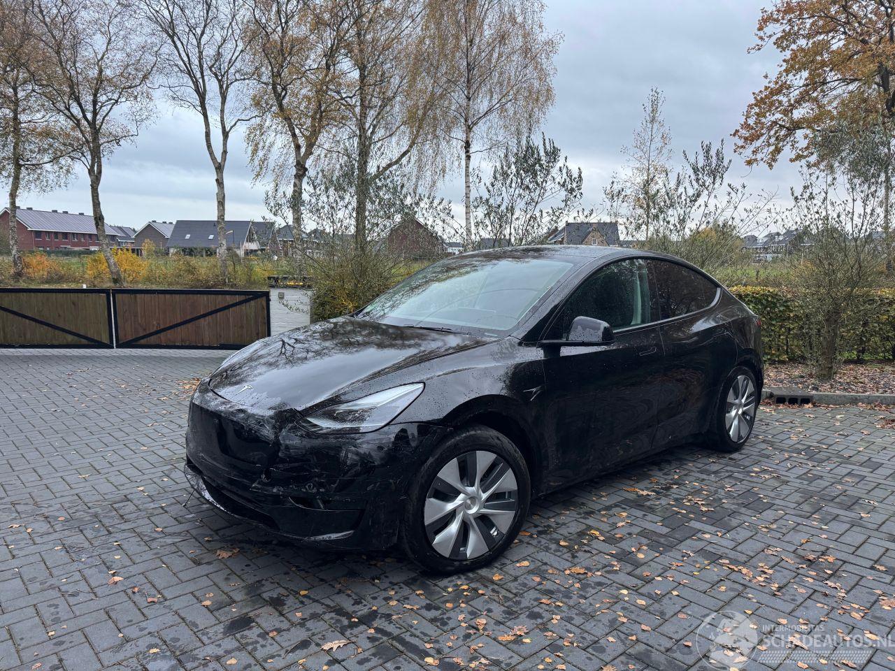 Tesla Model Y Model Y RWD Panorama 360view Autopilot Leder Trekhaak