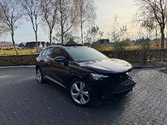 Auto incidentate Audi Q4 Audi Q4 E-tron 40e S-Line Panorama Camera LED VOL 2022/10