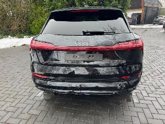 Audi E-tron Audi E-tron 55 Quattro S line Leder Trekhaak Camera VOL ! picture 16
