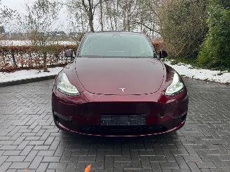 Tesla Model Y Tesla Model Y Long Range Dual AWD Panoramadak Camera Autopilot VOL picture 12