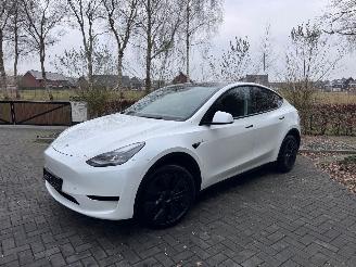 Damaged car Tesla Model Y Tesla Model Y Long Range RWD PANORAMA Autopilot VOL 2024/11