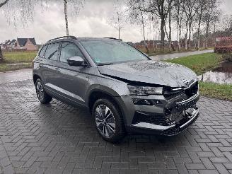 Skoda Karoq Karoq 1.5 TSI DSG Camera Trekhaak Ambiance VOL! picture 13