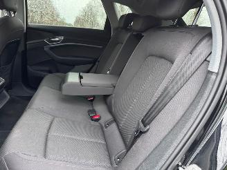 Audi E-tron e-tron 55 Quattro S-Line Camera Head-Up Display VOL picture 17