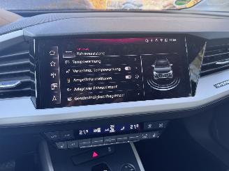 Audi Q4 Audi Q4 e-tron 45 e-tron S-Line Camera HUD Rijdbaar! picture 22