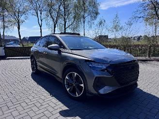 Unfallwagen Audi Q4 Audi Q4 e-tron Sportback 40 PANO Leer Camera AHK VSONOS VOL! 2024/7