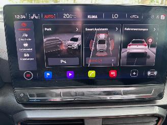 Cupra Formentor Formentor 1.5TSI Panorama Camera Leder Ambiance picture 27