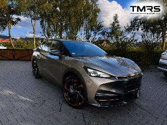 Damaged car Cupra Tavascan Tavascan 210 kW Endurance PANORAMA Camera HUD VOL VOL !! 2026/1