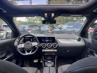 Mercedes EQA EQA 250+ AMG Panorama Camera Trekhaak Ambiance VOL picture 19