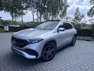 Mercedes EQA EQA 250+ AMG Panorama Camera Trekhaak Ambiance VOL picture 12