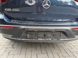 Mercedes EQB EQB 250+ AMG  7 Persoons PANORAMA Ambiance Camera ! picture 9