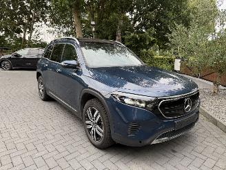 Mercedes EQB EQB 250+ AMG  7 Persoons PANORAMA Ambiance Camera ! picture 14