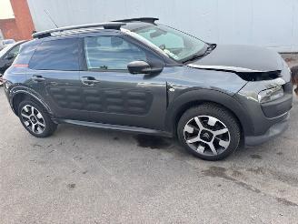 Citroën C4 cactus AUTOMAAT picture 4