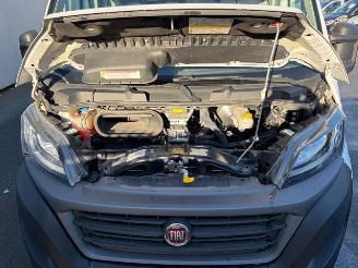 Fiat Ducato PROFESSIONAL picture 12