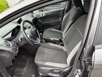Ford Fiesta  picture 5