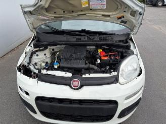 Fiat Panda  picture 10