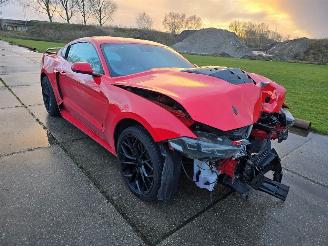 Ford USA Mustang  picture 5