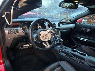 Ford USA Mustang  picture 13