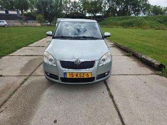disassembly passenger cars Skoda Fabia  2010/2