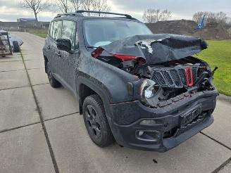 Jeep Renegade Renegade (BU), SUV, 2014 2.0 Mutlijet 140 16V 4x4 picture 2