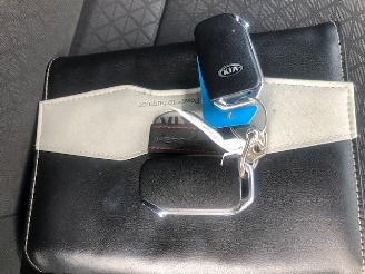 Kia Ceed 1.6 PHEV EXE PLUG-INN HYBRIDE 165 PK picture 16