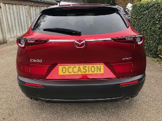 Mazda CX-30 2.0 e-SkyActiv-X M Hybrid Luxury VOLL picture 12