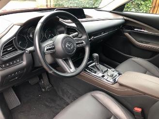 Mazda CX-30 2.0 e-SkyActiv-X M Hybrid Luxury VOLL picture 16