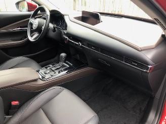 Mazda CX-30 2.0 e-SkyActiv-X M Hybrid Luxury VOLL picture 18