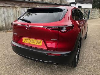 Mazda CX-30 2.0 e-SkyActiv-X M Hybrid Luxury VOLL picture 6