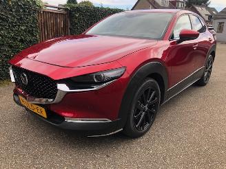 Mazda CX-30 2.0 e-SkyActiv-X M Hybrid Luxury VOLL picture 3