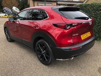 Mazda CX-30 2.0 e-SkyActiv-X M Hybrid Luxury VOLL picture 10