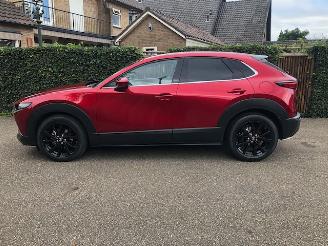 Mazda CX-30 2.0 e-SkyActiv-X M Hybrid Luxury VOLL picture 11