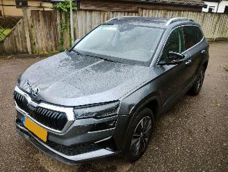 Coche accidentado Skoda Karoq 1.5 TSI ACT Business Edition Plus 2023/3