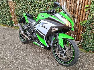 Kawasaki  Ninja 300 Anniversary Edition picture 2