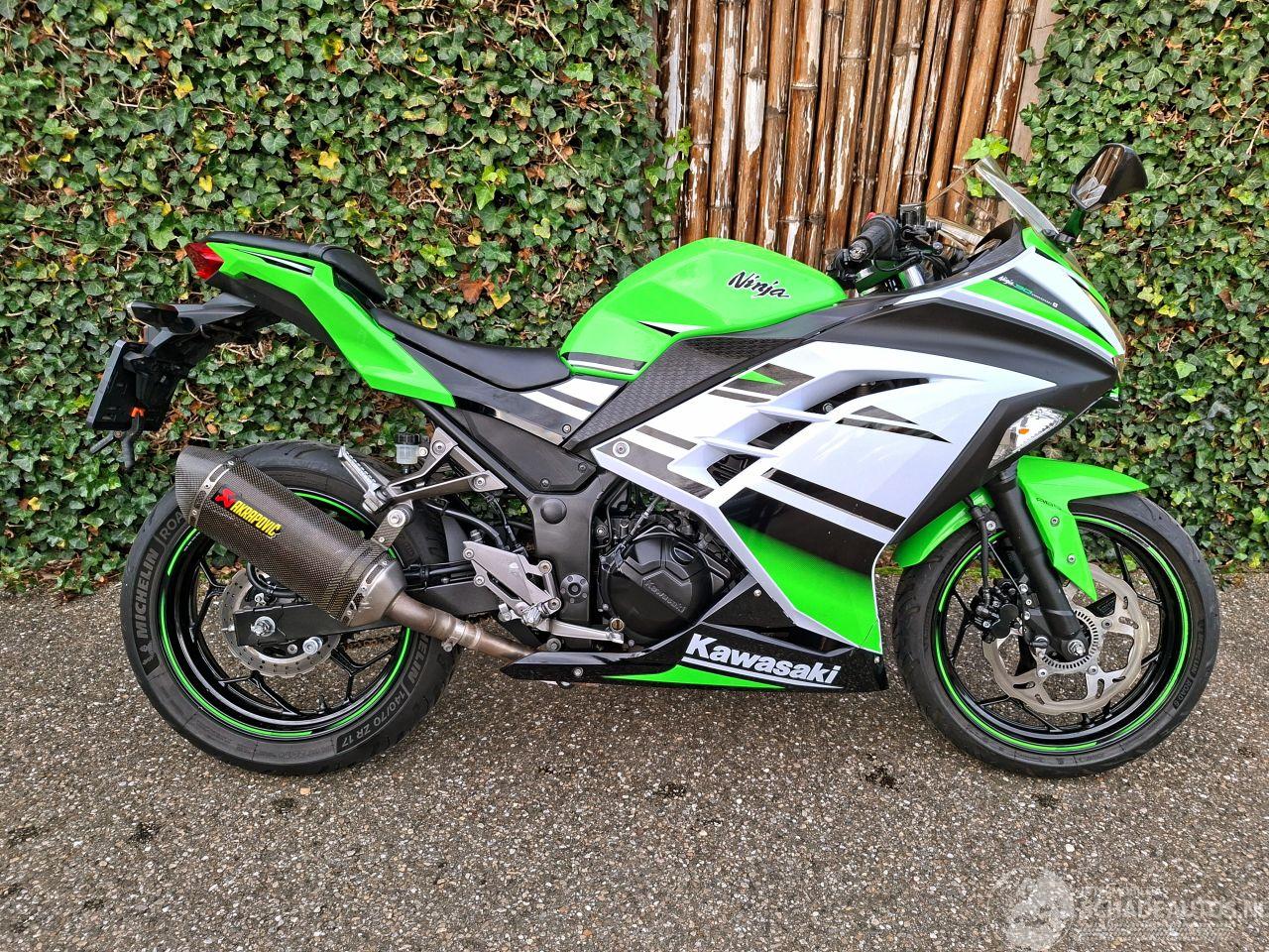Kawasaki  Ninja 300 Anniversary Edition