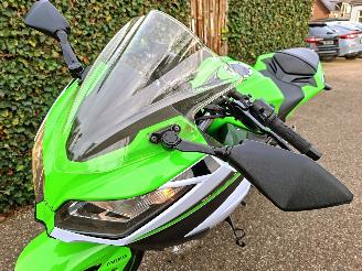 Kawasaki  Ninja 300 Anniversary Edition picture 13