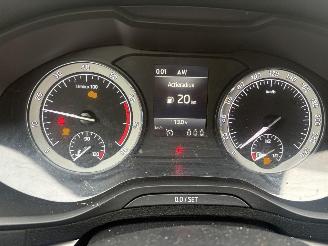 Skoda Karoq 1.0 TSI Business Edition 110PK picture 16