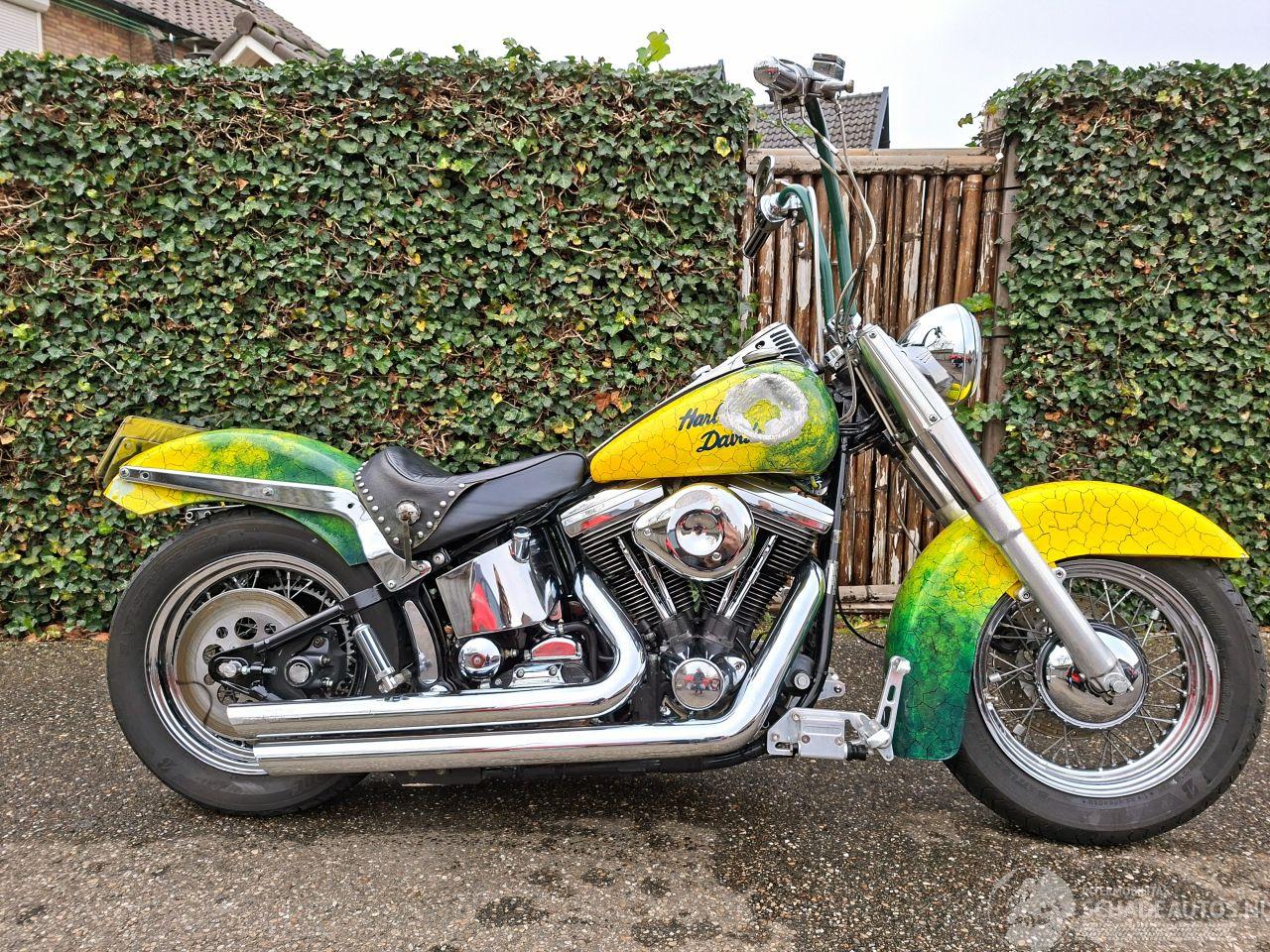 Harley-Davidson Heritage softtail FLSTC Heritage Classic