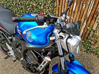 Yamaha FZ 6 Fazer ABS picture 3