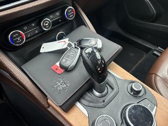 Alfa Romeo Stelvio 2.2D AWD Super AUTOMAAT 209PK picture 23