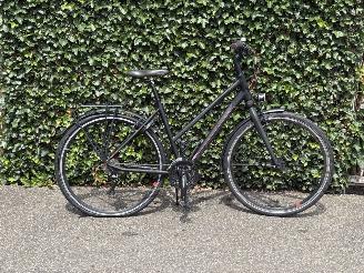 Koga-Miyata  SPORT picture 8