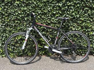 Koga-Miyata  SPORT picture 11