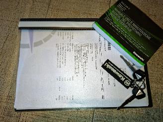 Kawasaki  VULCAN S ARROWS PUIG CUSTOM picture 24