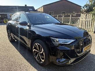 Audi E-tron 50 quattro S-LINE  PANORAMA VOLL 313 PK 71 kWh picture 7