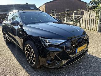Audi E-tron 50 quattro S-LINE  PANORAMA VOLL 313 PK 71 kWh picture 6