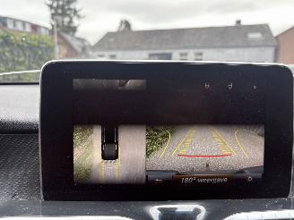 Mercedes X-klasse X250 D- 4- MATIC PROGESSIVE 200 PK 4X4 AUTOMAAT NAP picture 21