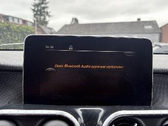 Mercedes X-klasse X250 D- 4- MATIC PROGESSIVE 200 PK 4X4 AUTOMAAT NAP picture 23
